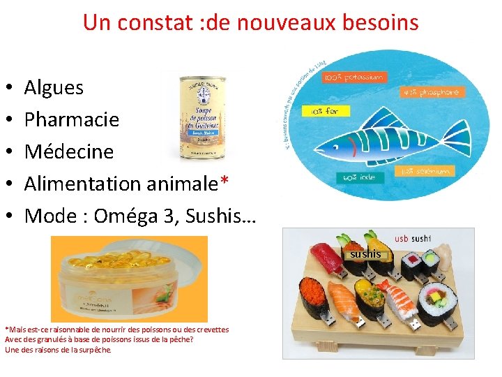 Un constat : de nouveaux besoins • • • Algues Pharmacie Médecine Alimentation animale*