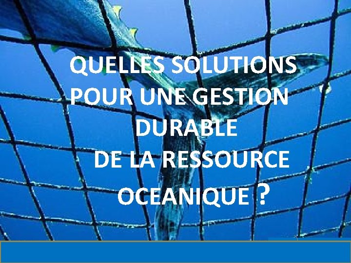 C QUELLES SOLUTIONS POUR UNE GESTION DURABLE DE LA RESSOURCE OCEANIQUE ? 
