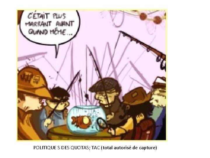POLITIQUE S DES QUOTAS; TAC (total autorisé de capture) 