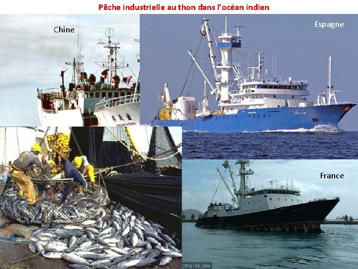 Pêche industrielle au thon dans l’océan indien Chine Espagne France 
