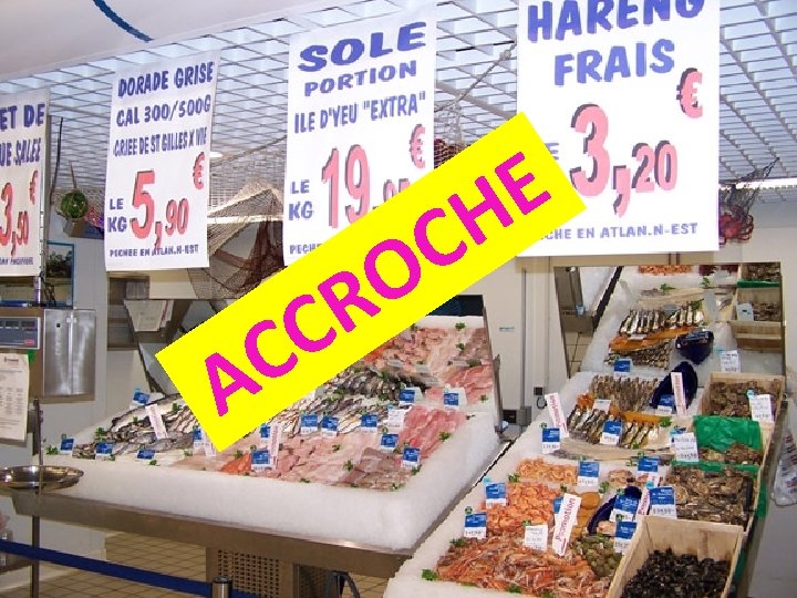 C C A O R E H C 
