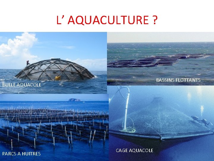 L’ AQUACULTURE ? BASSINS FLOTTANTS BULLE AQUACOLE PARCS A HUITRES CAGE AQUACOLE 
