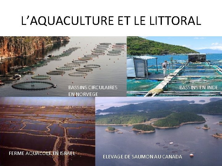 L’AQUACULTURE ET LE LITTORAL BASSINS CIRCULAIRES EN NORVEGE FERME AQUACOLE EN ISRAEL BASSINS EN