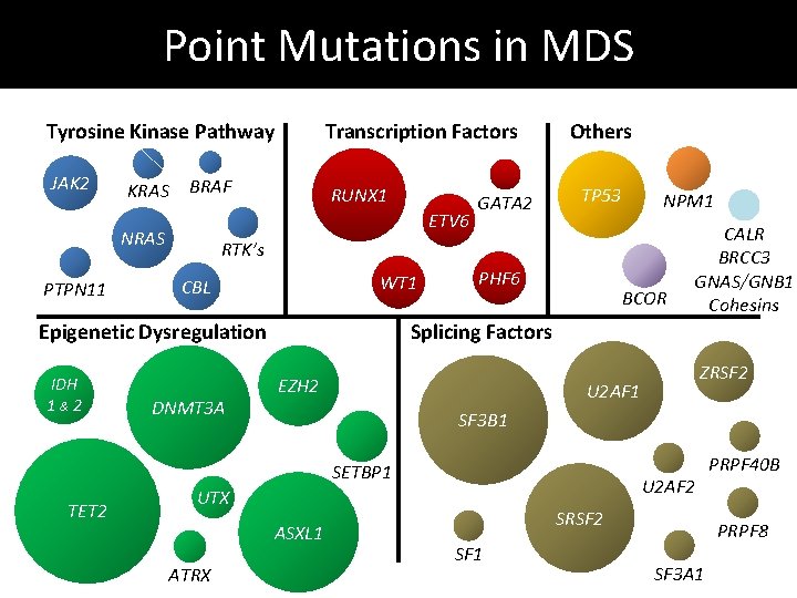 Point Mutations in MDS Tyrosine Kinase Pathway JAK 2 KRAS BRAF RUNX 1 ETV