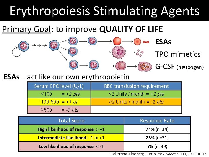 Erythropoiesis Stimulating Agents Primary Goal: to improve QUALITY OF LIFE ESAs TPO mimetics G-CSF