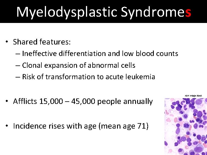 Myelodysplastic Syndromes • Shared features: – Ineffective differentiation and low blood counts – Clonal
