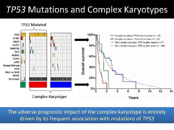 TP 53 Mutations and Complex Karyotypes TP 53 Mutated Complex Karyotype The adverse prognostic