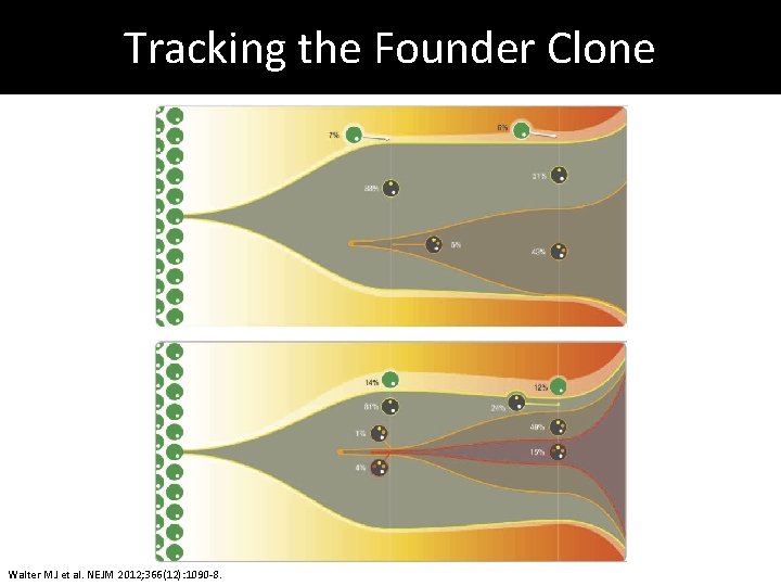 Tracking the Founder Clone Walter MJ et al. NEJM 2012; 366(12): 1090 -8. 