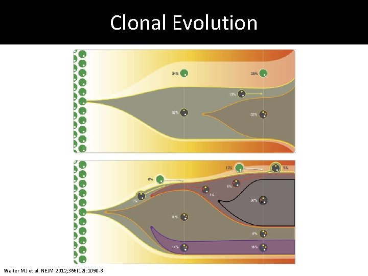 Clonal Evolution Walter MJ et al. NEJM 2012; 366(12): 1090 -8. 