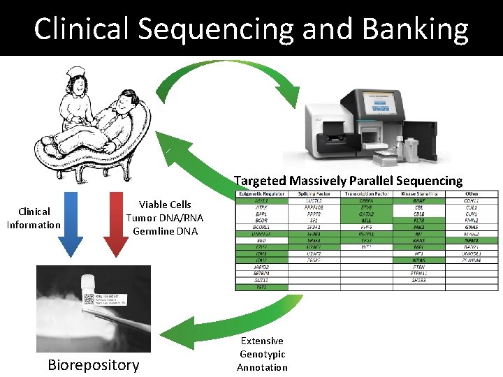 Clinical Sequencing and Banking Targeted Massively Parallel Sequencing Clinical Information Viable Cells Tumor DNA/RNA