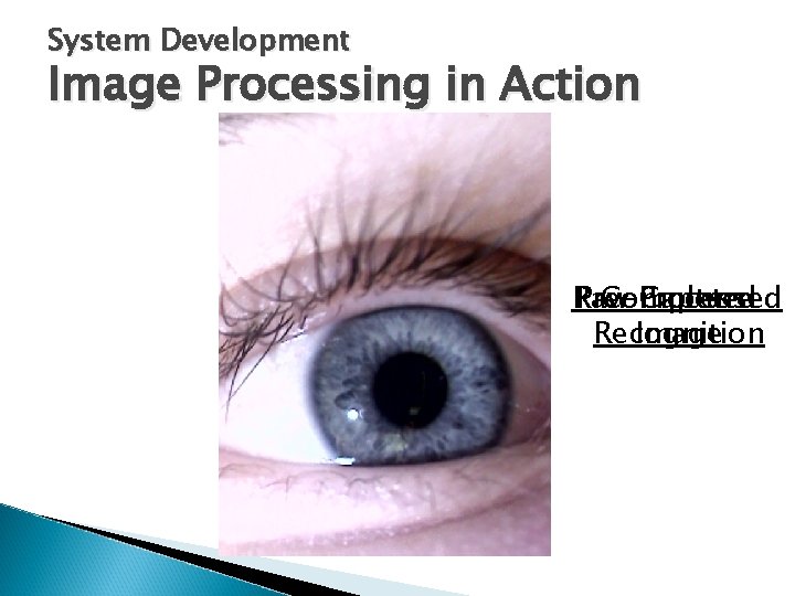System Development Image Processing in Action Raw Pre-Processed Completed Capture Recognition Image 