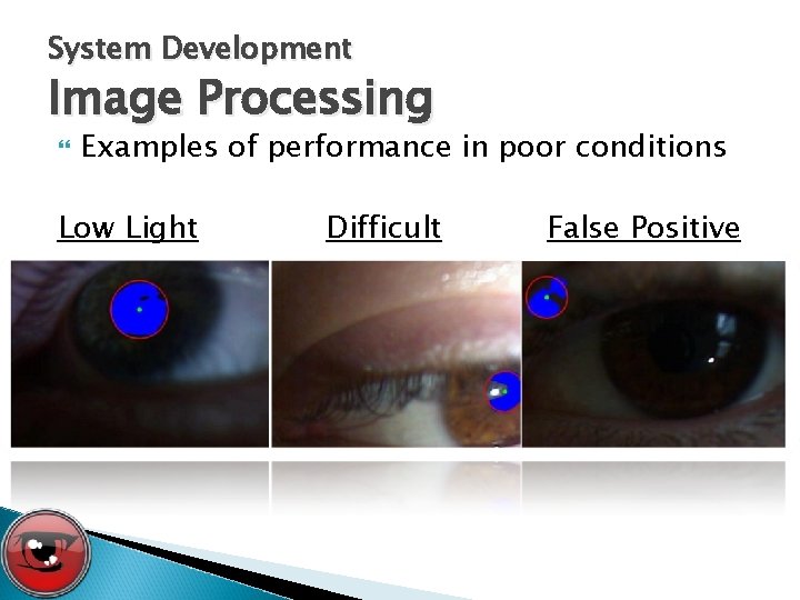 System Development Image Processing Examples of performance in poor conditions Low Light Difficult False