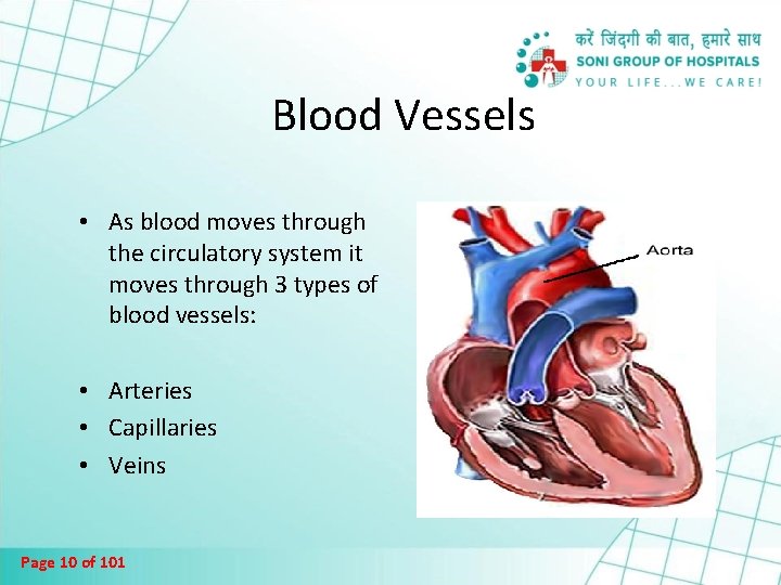 Blood Vessels • As blood moves through the circulatory system it moves through 3