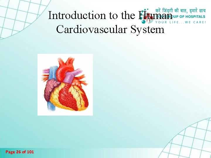Introduction to the Human Cardiovascular System Page 26 of 101 