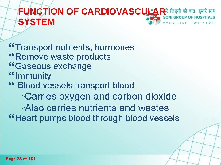 FUNCTION OF CARDIOVASCULAR SYSTEM Transport nutrients, hormones Remove waste products Gaseous exchange Immunity Blood