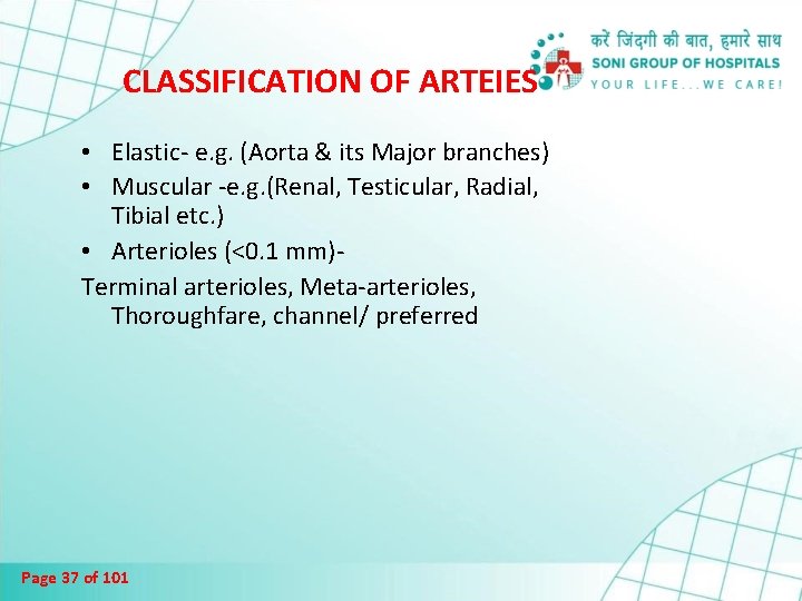 CLASSIFICATION OF ARTEIES • Elastic- e. g. (Aorta & its Major branches) • Muscular