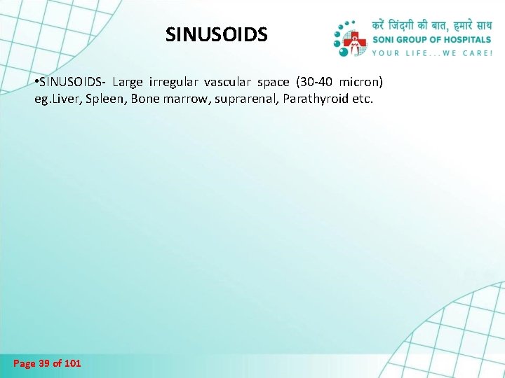 SINUSOIDS • SINUSOIDS- Large irregular vascular space (30 -40 micron) eg. Liver, Spleen, Bone