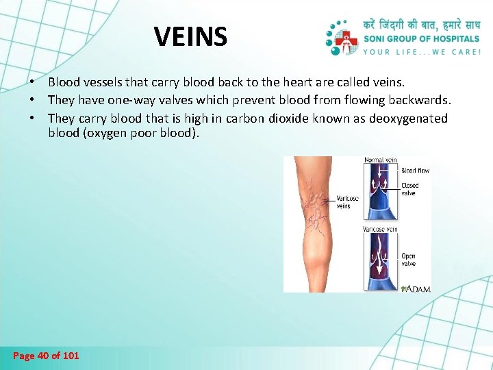 VEINS • Blood vessels that carry blood back to the heart are called veins.