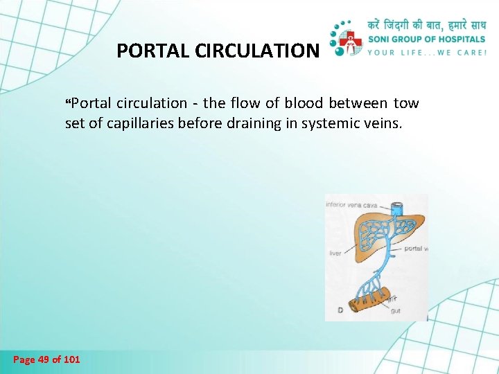 PORTAL CIRCULATION Portal circulation - the flow of blood between tow set of capillaries