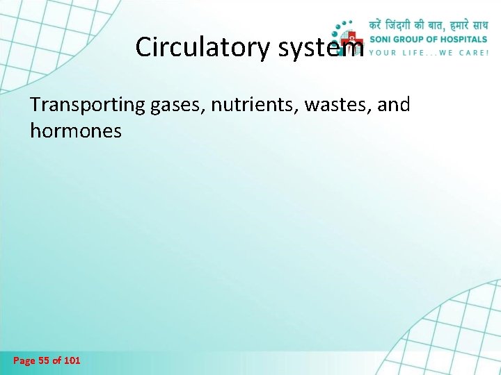 Circulatory system Transporting gases, nutrients, wastes, and hormones Page 55 of 101 