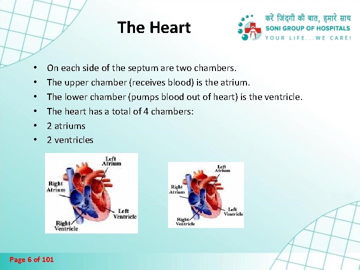The Heart • • • On each side of the septum are two chambers.