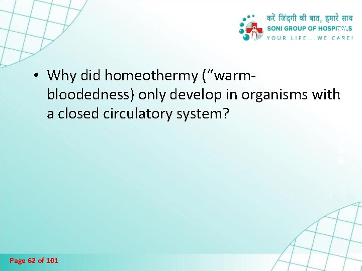 W O R K • Why did homeothermy (“warm. T bloodedness) only develop in