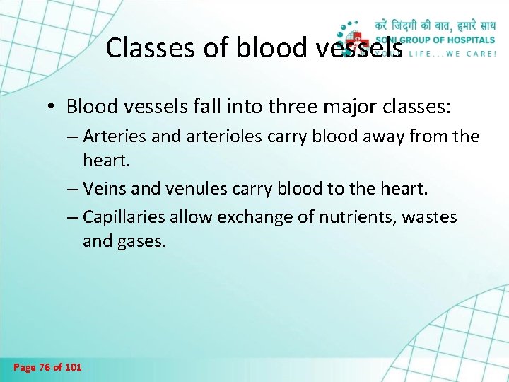 Classes of blood vessels • Blood vessels fall into three major classes: – Arteries