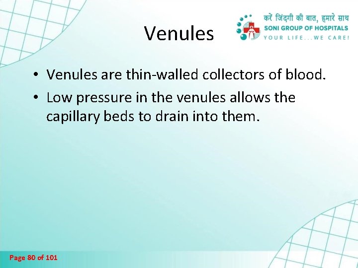 Venules • Venules are thin-walled collectors of blood. • Low pressure in the venules