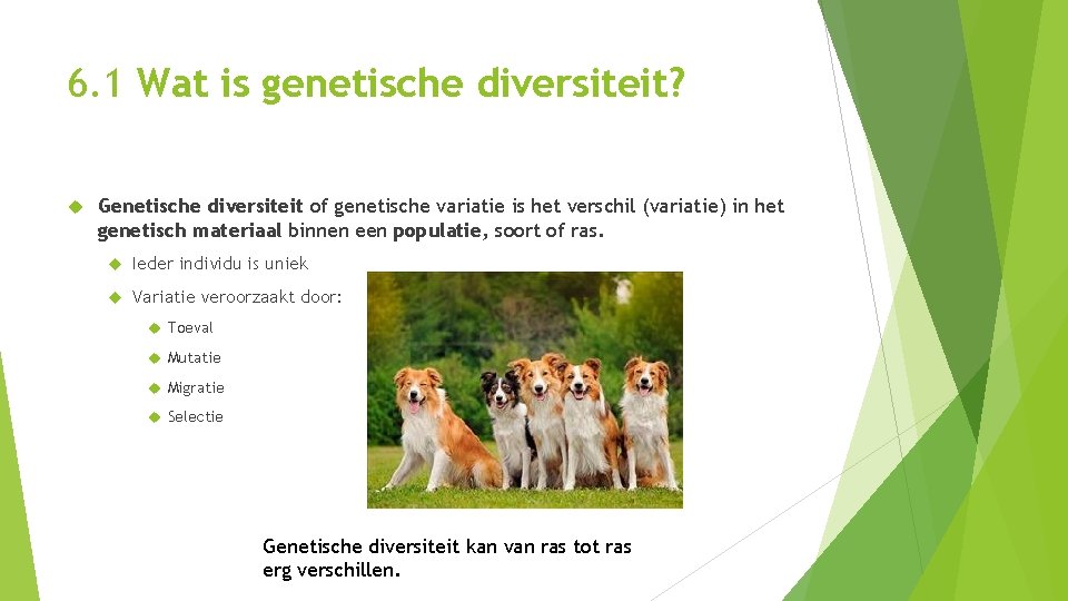 6. 1 Wat is genetische diversiteit? Genetische diversiteit of genetische variatie is het verschil