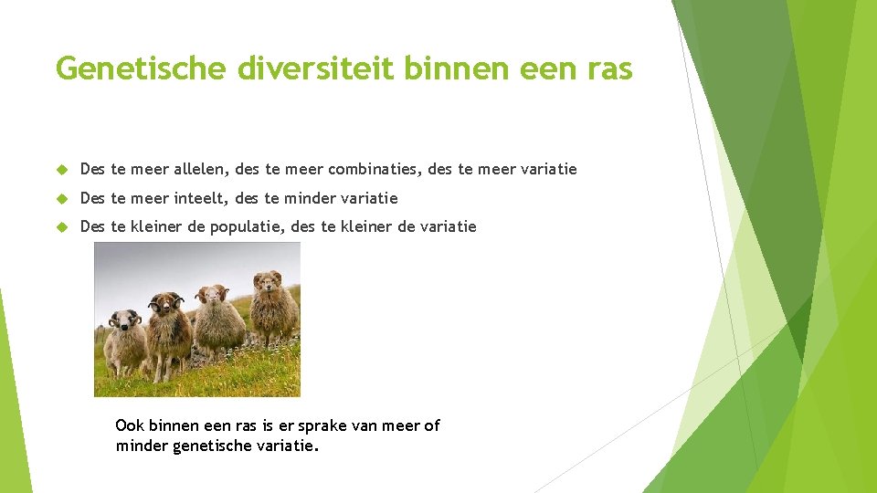 Genetische diversiteit binnen een ras Des te meer allelen, des te meer combinaties, des