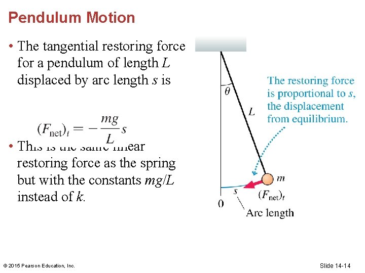 Pendulum Motion • The tangential restoring force for a pendulum of length L displaced