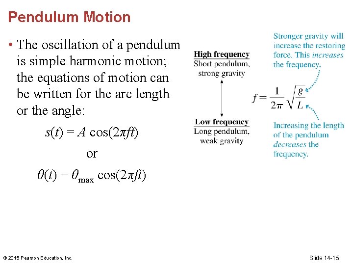 Pendulum Motion • The oscillation of a pendulum is simple harmonic motion; the equations