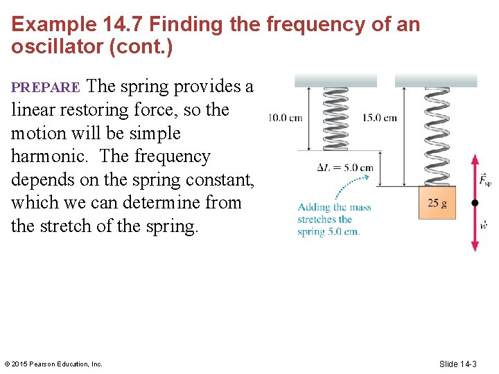 Example 14. 7 Finding the frequency of an oscillator (cont. ) The spring provides