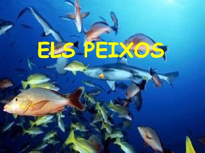 ELS PEIXOS 