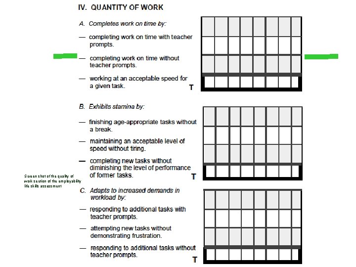 Screen shot of the quality of work section of the employability life skills assessment