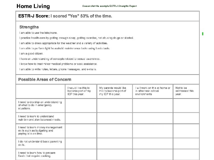 Screen shot the example ESTR-J Strengths Report 