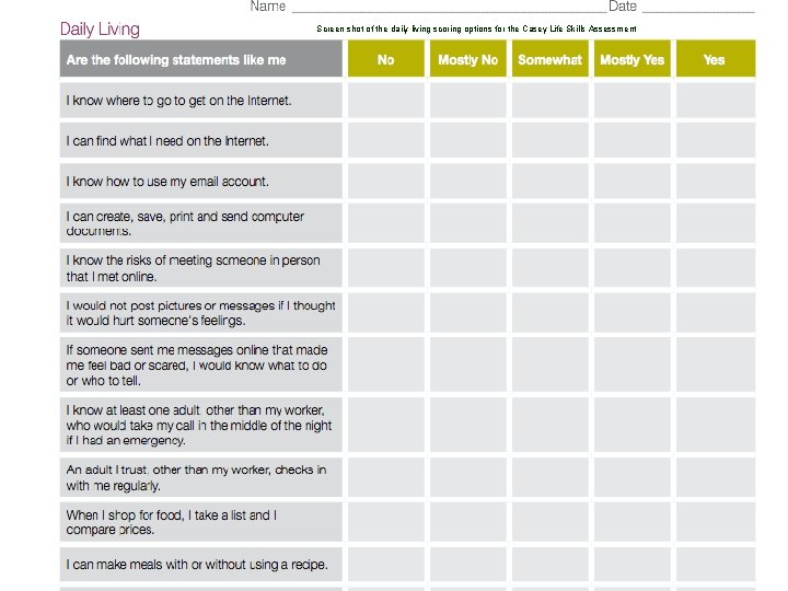 Screen shot of the daily living scoring options for the Casey Life Skills Assessment