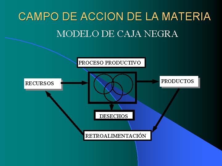 CAMPO DE ACCION DE LA MATERIA MODELO DE CAJA NEGRA PROCESO PRODUCTIVO PRODUCTOS RECURSOS