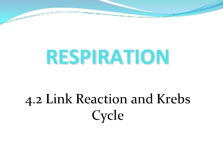 RESPIRATION 4. 2 Link Reaction and Krebs Cycle 