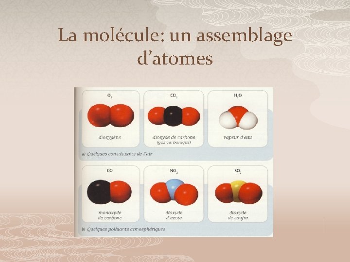 La molécule: un assemblage d’atomes 