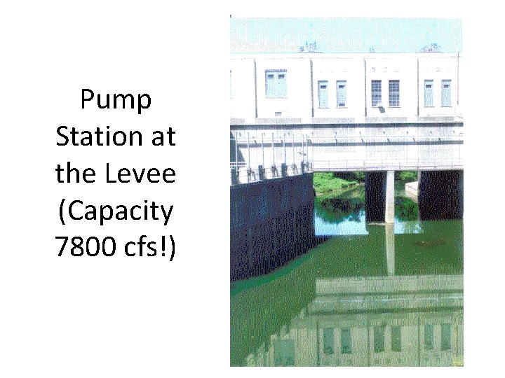Pump Station at the Levee (Capacity 7800 cfs!) 