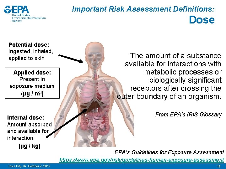 Important Risk Assessment Definitions: Dose Potential dose: Ingested, inhaled, applied to skin Applied dose: