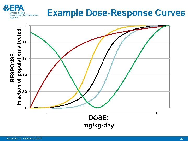 Example Dose-Response Curves RESPONSE: Fraction of population affected 1 0. 8 0. 6 0.