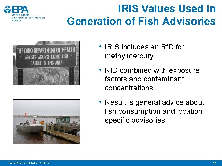 IRIS Values Used in Generation of Fish Advisories • IRIS includes an Rf. D