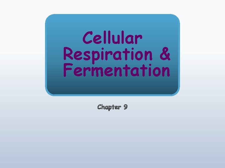 Cellular Respiration & Fermentation 