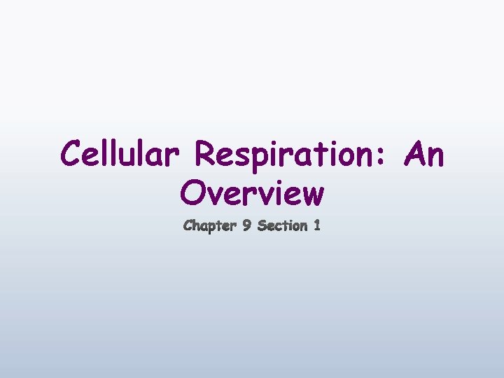 Cellular Respiration: An Overview 