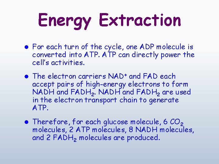 Energy Extraction l For each turn of the cycle, one ADP molecule is converted