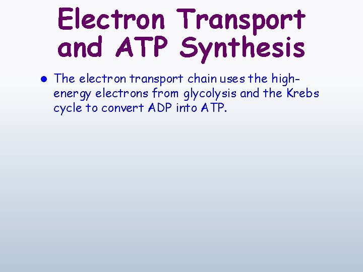 Electron Transport and ATP Synthesis l The electron transport chain uses the highenergy electrons