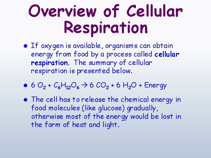 Overview of Cellular Respiration l If oxygen is available, organisms can obtain energy from