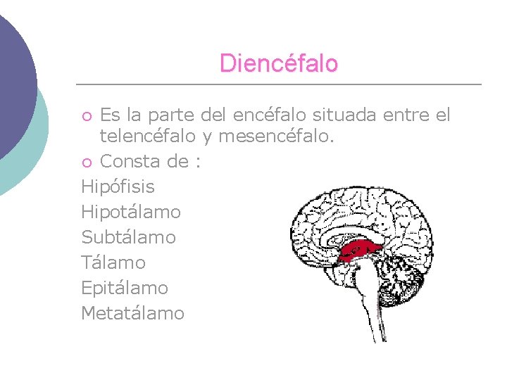 Diencéfalo Es la parte del encéfalo situada entre el telencéfalo y mesencéfalo. ¡ Consta